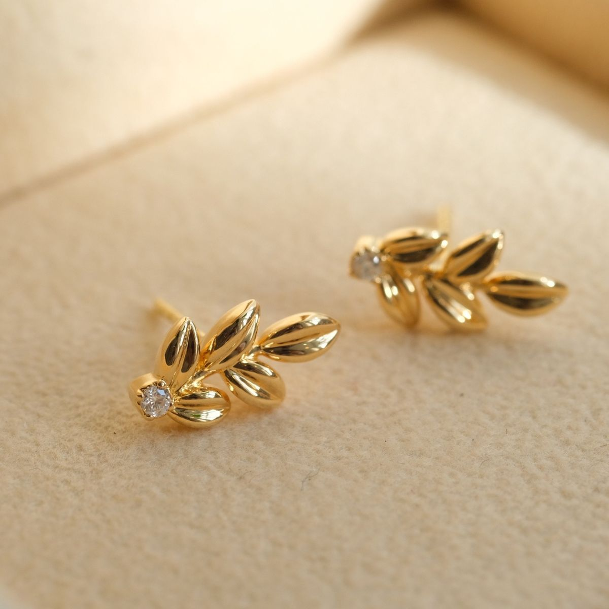 Ear Cuffs