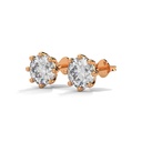 14K Rose Gold Dazzle Round Diamond Earrings front perspective view showing the classic round-cut diamond in a six-prong "starlight" setting.