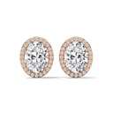 Classic Oval Halo Stud Earrings